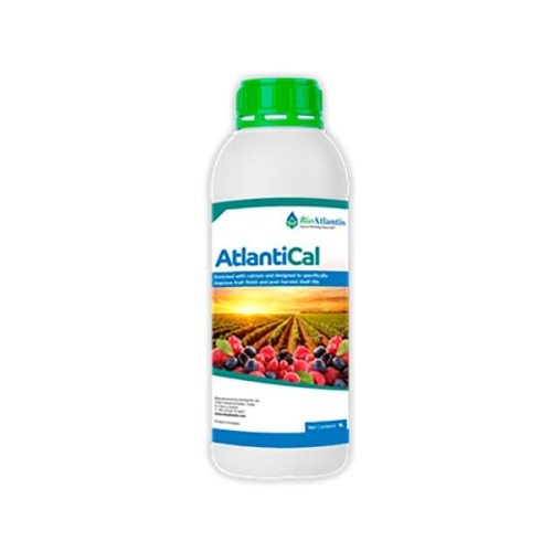 Atlantical 1L