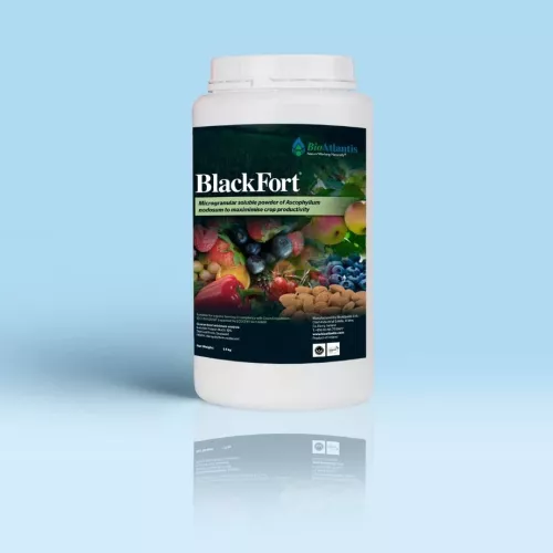 Blackfor 1Kg